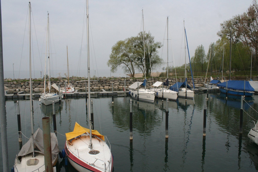 IMG_7672.JPG