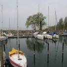 IMG_7672.JPG