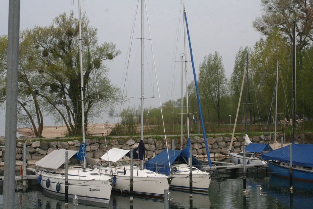 IMG_7674.JPG