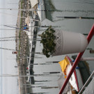 IMG_7703.JPG