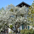 Der Frühling von seiner schönsten Seite