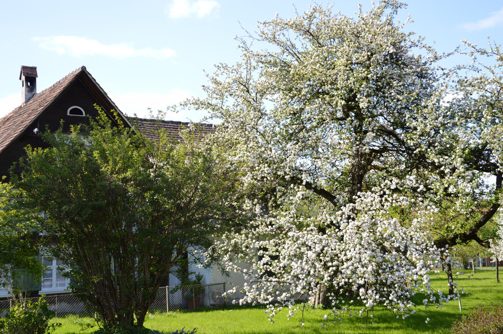 DSC_0113.JPG