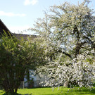 DSC_0113.JPG