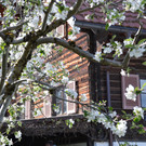 DSC_0119.JPG