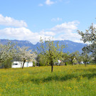DSC_0120.JPG