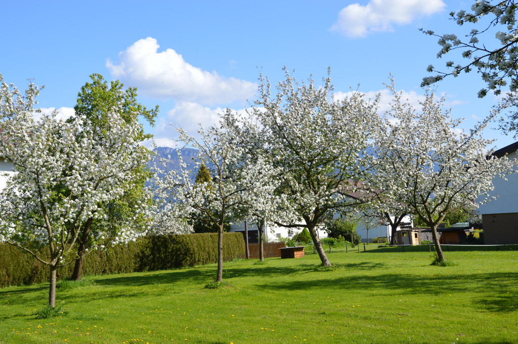 DSC_0121.JPG