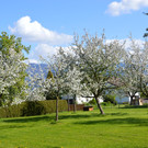 DSC_0121.JPG