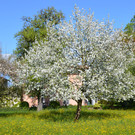 DSC_0127.JPG
