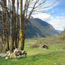 DSCN7394.JPG