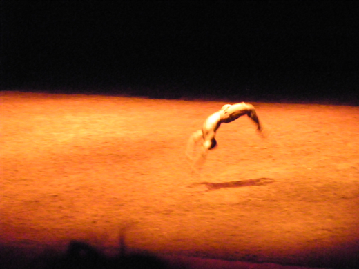 101_4647_jpg-1271117757
