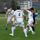 FC_Egg_0024_2.JPG