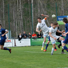 FC_Egg_0032_2.JPG