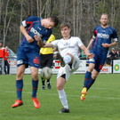 FC_Egg_0054_1.JPG