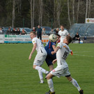 FC_Egg_0070_0.JPG