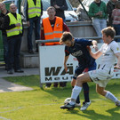 FC_Egg_0087.JPG