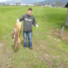 DSCN1652_jpg-1271118680