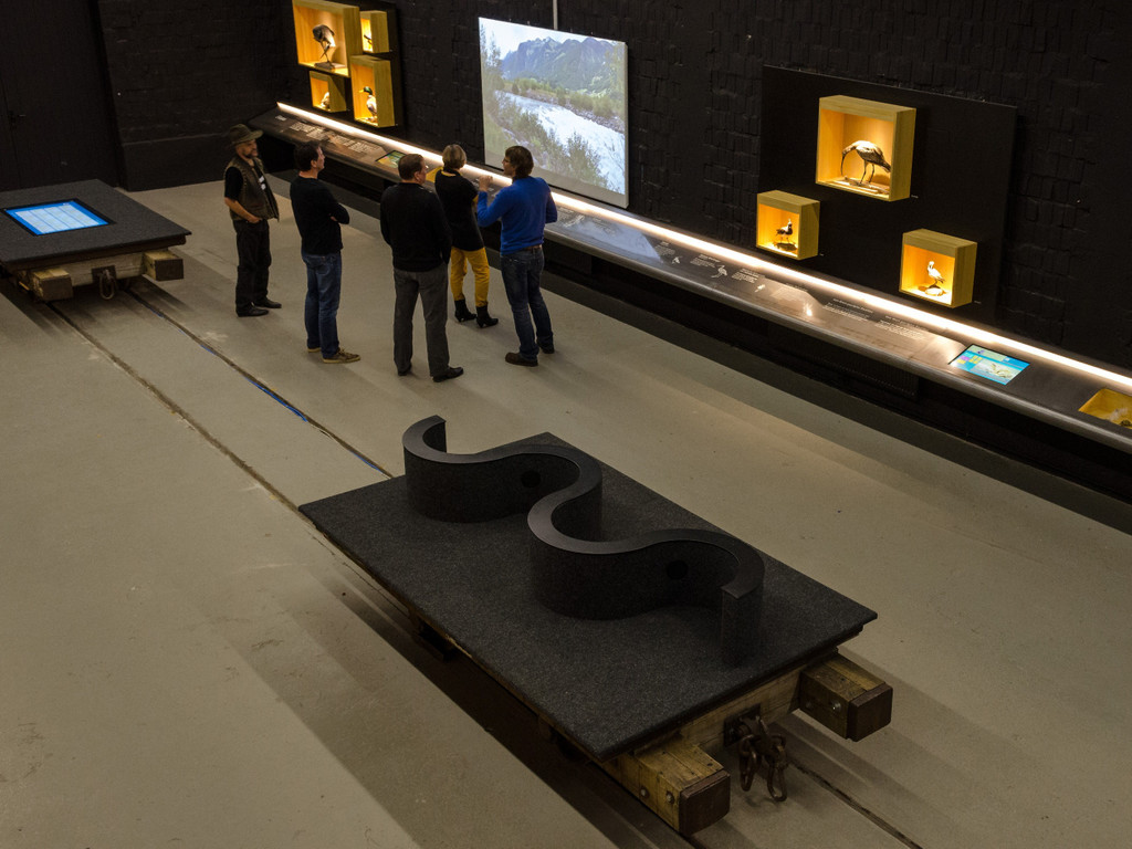 Alpenrhein_land jw.jpg