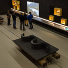 Alpenrhein_land jw.jpg