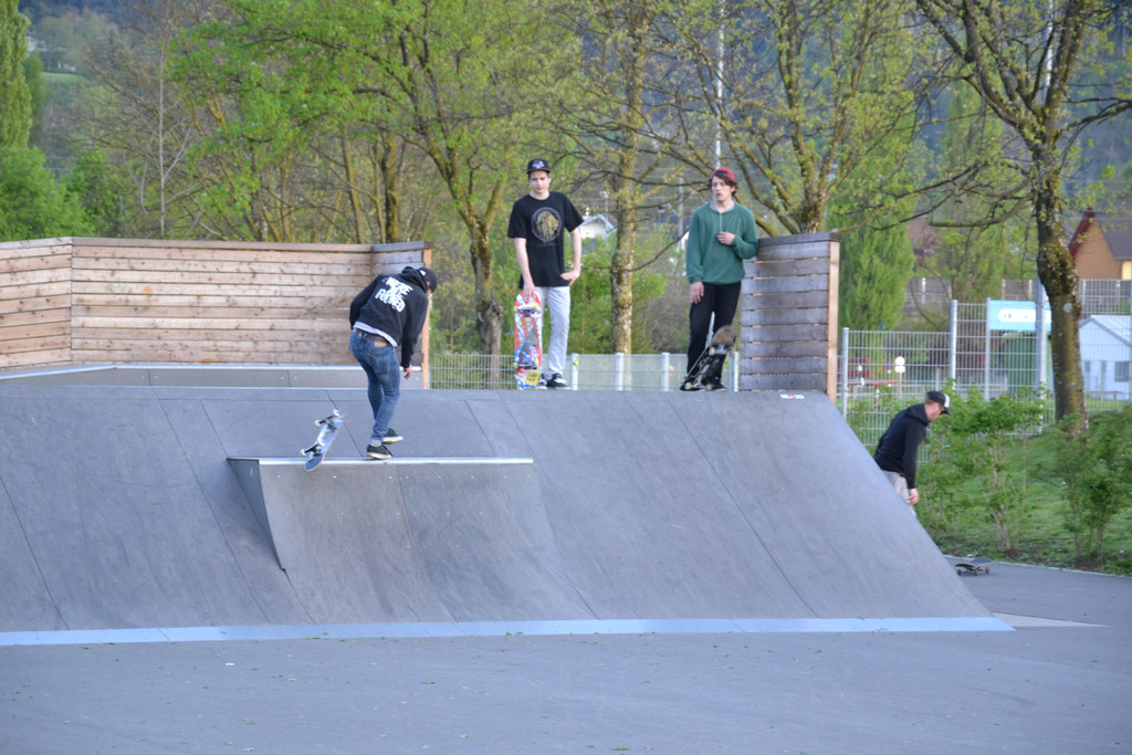 DSC_0343.JPG