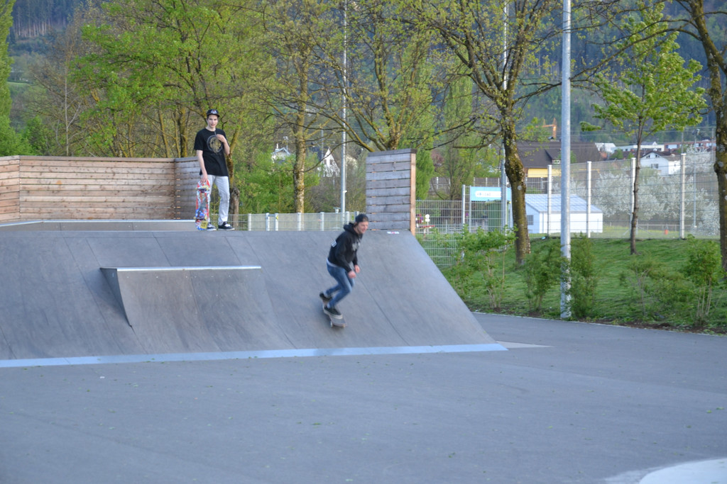 DSC_0337.JPG