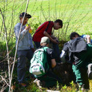DSC_1132.jpg