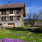 DSC004.JPG