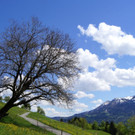 DSC013.JPG