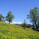 DSC014_.JPG