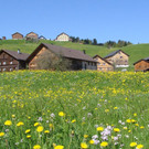 DSC023.JPG