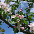 DSC026.jpg