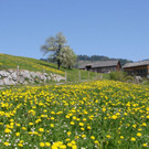 DSC032.JPG