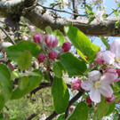 DSC033.JPG