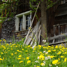 DSC049.JPG