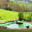 DSC051__.jpg
