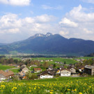 DSC054.JPG