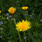 DSC057.JPG