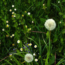 DSC069.JPG