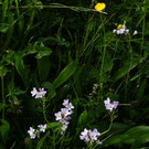 DSC080.JPG