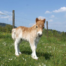 DSC01728.jpg
