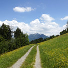 DSC06368.JPG