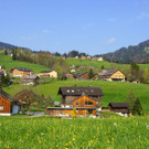 DSC08216.JPG