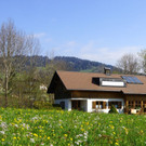DSC08228.JPG
