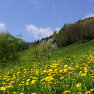 DSC08251.JPG