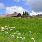DSC08283.JPG