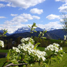 DSC08385.JPG