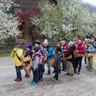 20140418_Raetschna_016.jpg