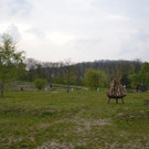 DSC_2954.JPG