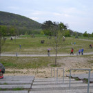 DSC_2955.JPG