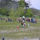 DSC_2956.JPG