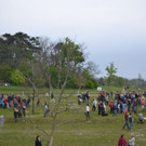 DSC_2986.JPG